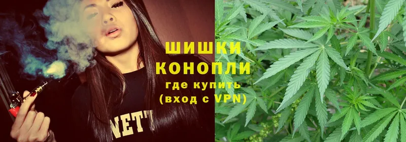 Бошки марихуана Ganja  Новокубанск 